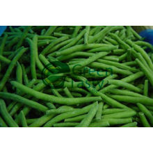 Canned Vegetables of French Green Beans (MIC)